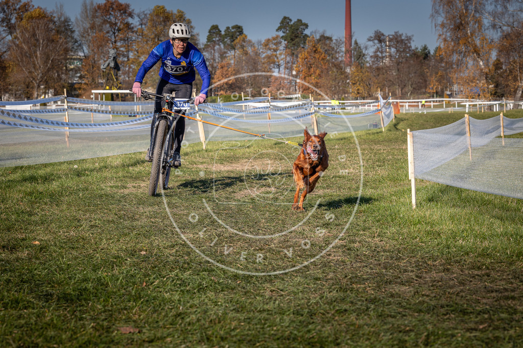 CaniXpix_0L8A6409 | Hundefotografie, Tierfotograf, Pfotenfotografie, Fotoshooting Hund, Hunde Portrait, Hundesport, Hundeportraits, Heideshooting, Hunde, Sportfotograf, Hundefotograf, Turnierhundsport, THS,  - Realisiert mit Pictrs.com