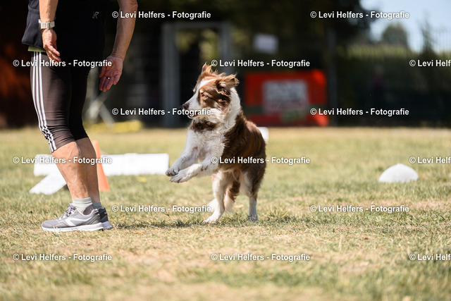 _DSC6143 | levihelfersfotografie