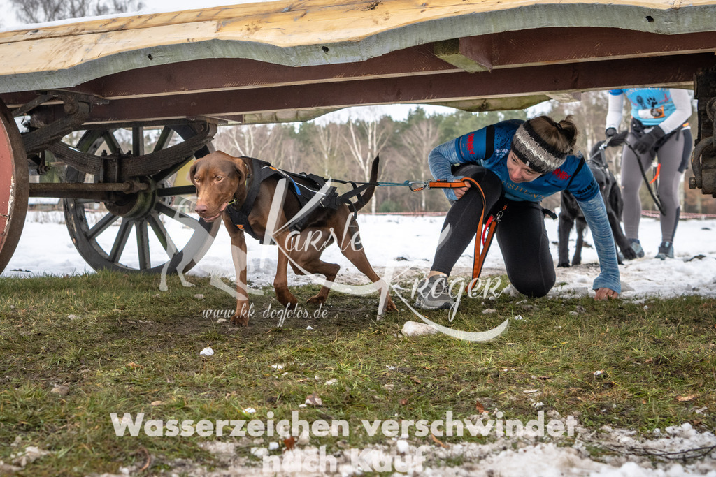 0941_ZZ91223 | kk-dogfotos