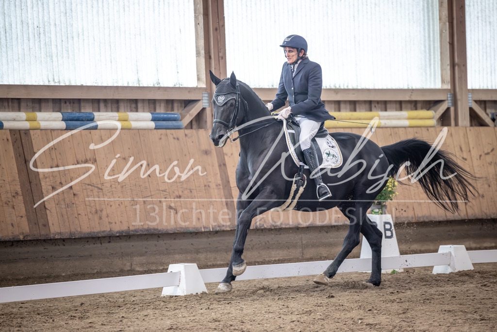 20251011-_3LI1221 | Tierfotografie Pferde, Hunde, Katzen, Haustiere.
Turnierfotografie Reitturniere, Reiten, Springreiten, Dressur in Hanau, dem Main-Kinzig-Kreis und dem Rhein-Main- Gebiet um Frankfurt