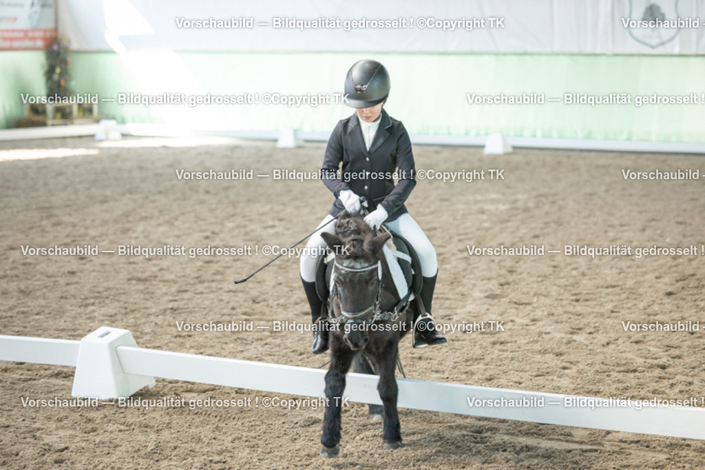 _D5A8877 | Emotionale Pferde- & People-Fotografie rund um Heidelberg, Leimen & Umgebung. Natürliche Fotos von Pferd, Mensch & Familie. Jetzt Termin sichern!