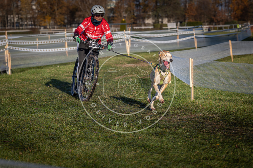 CaniXpix_0L8A3981 | Hundefotografie, Tierfotograf, Pfotenfotografie, Fotoshooting Hund, Hunde Portrait, Hundesport, Hundeportraits, Heideshooting, Hunde, Sportfotograf, Hundefotograf, Turnierhundsport, THS,  - Realisiert mit Pictrs.com