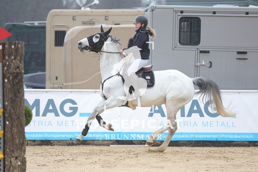 0P6A9995 | Willkommen bei Brunnmayr - Design & Fotografie – Ihrem Spezialisten für Reitturniere und Pferdeveranstaltungen in Oberösterreich, Salzburg und Bayern! Seit über 17 Jahren sind wir leidenschaftlich dabei.
