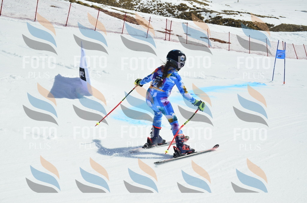 _ELE1193 | holidayphoto