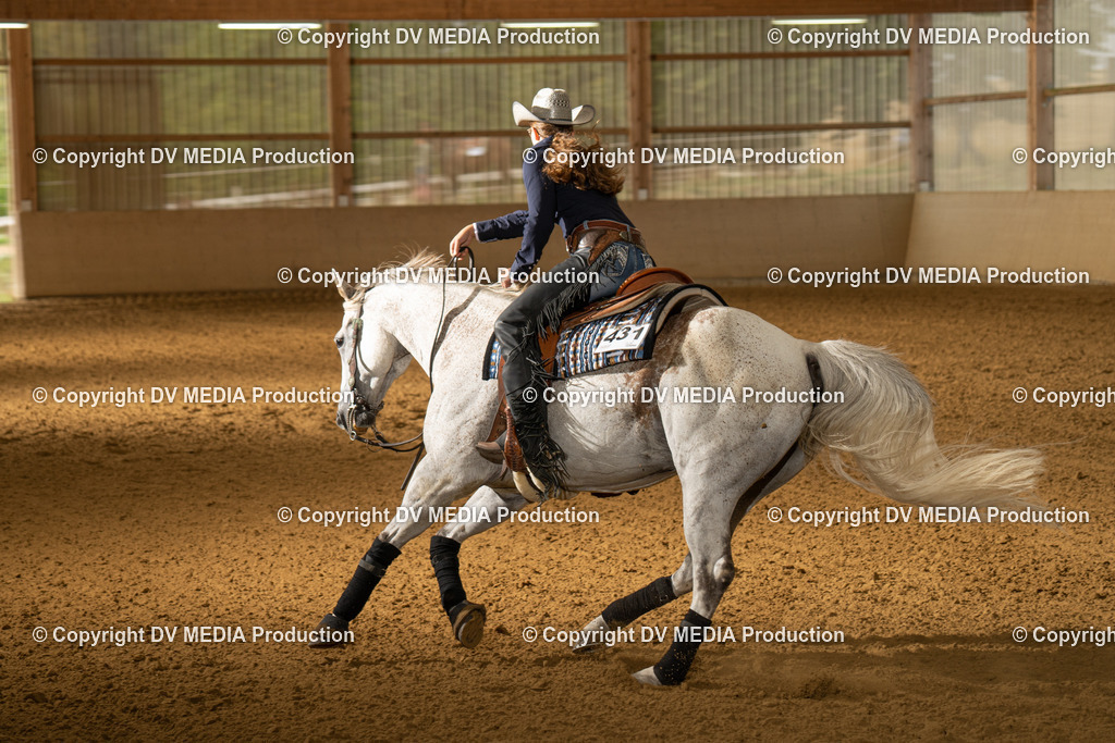 LAU01383 | dv-media-shop - Realisiert mit Pictrs.com