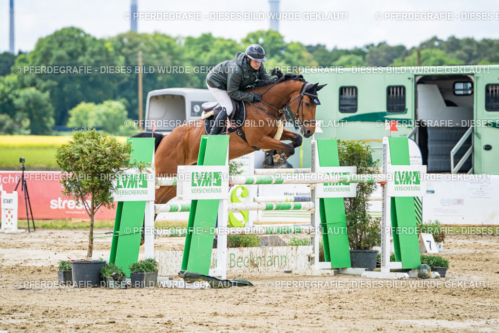 DSC04761 | Pferdegrafie