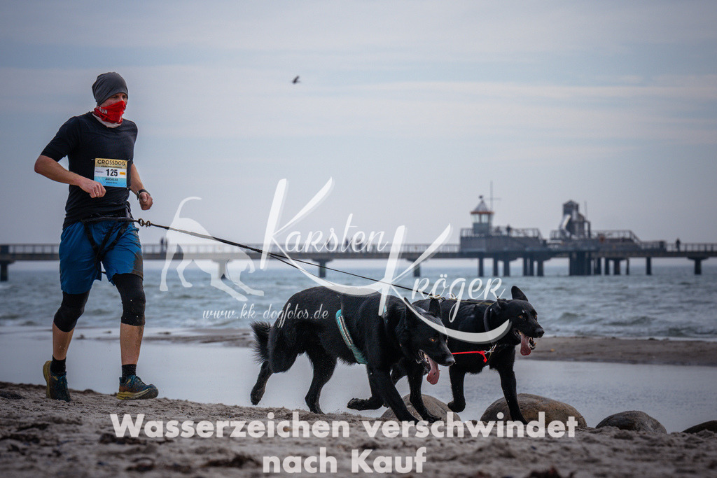 1052_ZZ96381 | kk-dogfotos