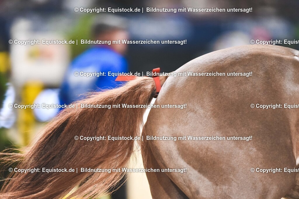 20251113_Preis-XXL-Sicherheit_TOMSPIC_0173 | Foto: Thomas Hartig