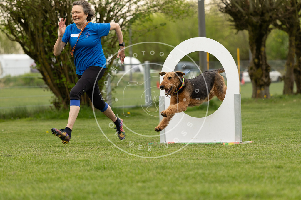 Pfotenfotografie_DV3A9040 | Hundefotografie, Tierfotograf, Pfotenfotografie, Fotoshooting Hund, Hunde Portrait, Hundesport, Hundeportraits, Heideshooting, Hunde, Sportfotograf, Hundefotograf, Turnierhundsport, THS,  - Realisiert mit Pictrs.com