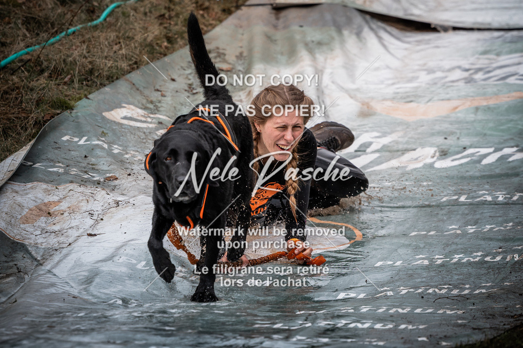 nelerasche_1330-1400_100 | nelerasche