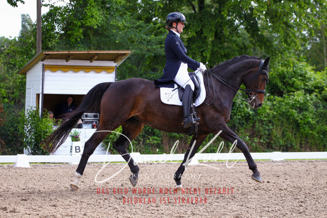 DKP41461 | Turnierfotos kaufen im Webshop von Daniel Kuhl Photography – entdecke professionelle Reitsportfotos aus Turnieren & Events. Hochwertige Turnierbilder online bestellen & sichern. Jetzt Fotos von Reitsportturnieren kaufen!