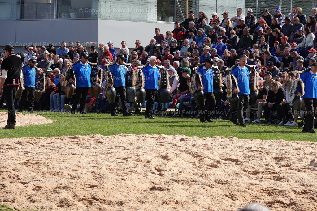 DSC01991 | Schwingen - Realisiert mit Pictrs.com