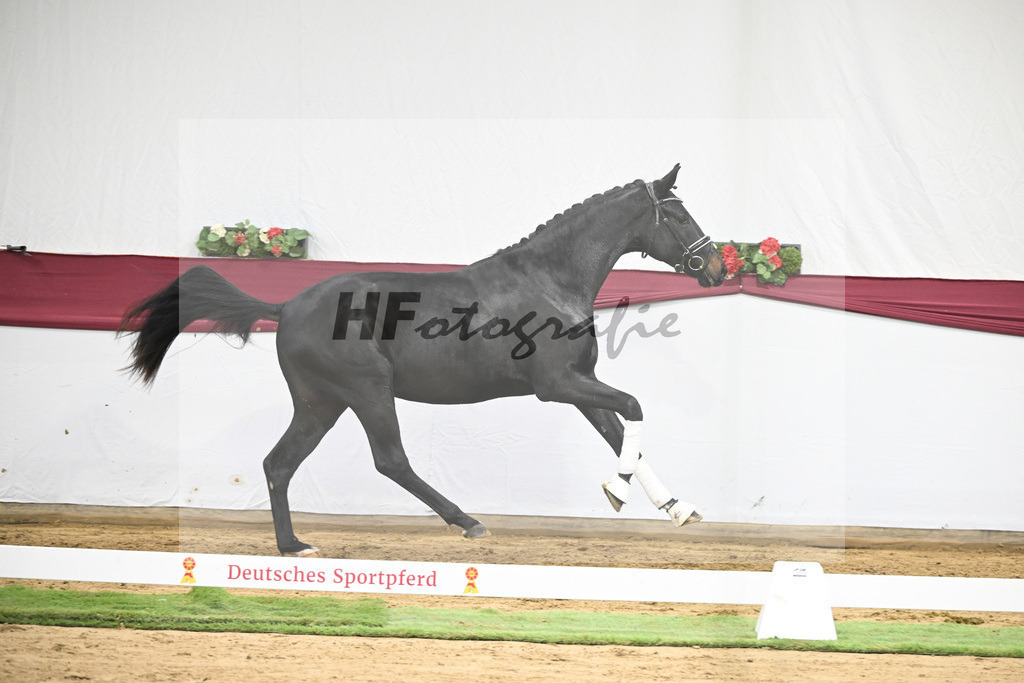 Kat-Nr. 34 Iron x Fuersten-Look_Thomas Casper_47251172 | hf-fotografie - Realisiert mit Pictrs.com