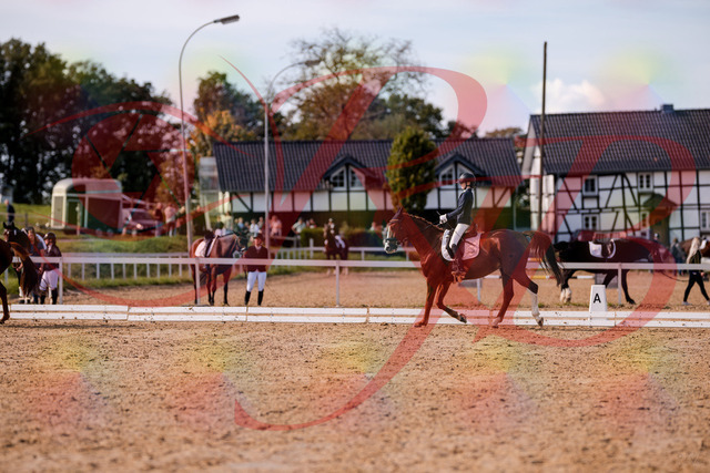 2026_10_03_Siefer-Hof_133119_Z81_84770618 | Professionelle Reitsport-, Turnier- und Eventfotografie von Robert Broda. Galerien mit ausgewählten und bearbeiteten Bildern direkt online ansehen und bestellen.