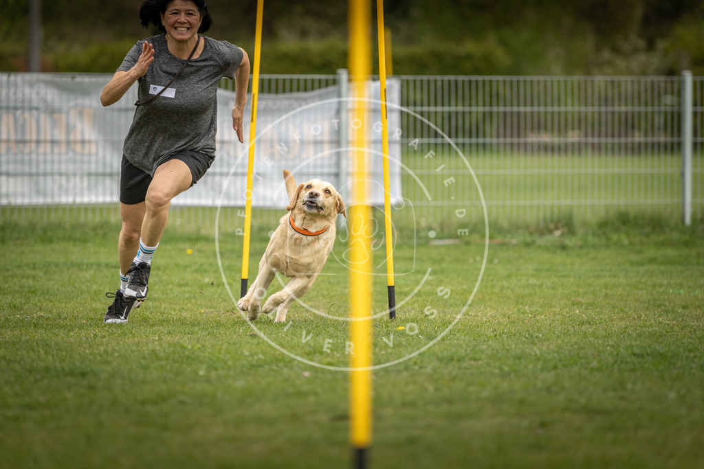 Pfotenfotografie_DV3A9607 | Hundefotografie, Tierfotograf, Pfotenfotografie, Fotoshooting Hund, Hunde Portrait, Hundesport, Hundeportraits, Heideshooting, Hunde, Sportfotograf, Hundefotograf, Turnierhundsport, THS,  - Realisiert mit Pictrs.com