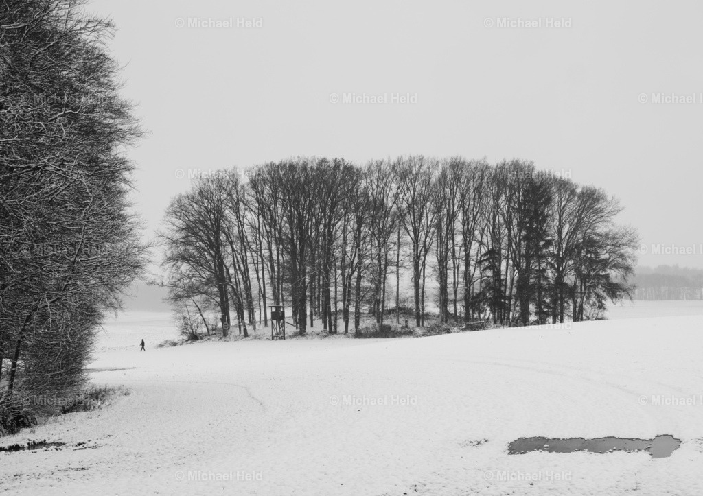 2024-01-0Schneewald_Hütten_012 | Profi-Fotos über Schleswig-Holstein und dem ganzen Norden für Büro, Hotel, Ferienhaus, Ferienwohnung, Wohnzimmer, Arztpraxis uvm. jetzt bestellen. - Realisiert mit Pictrs.com