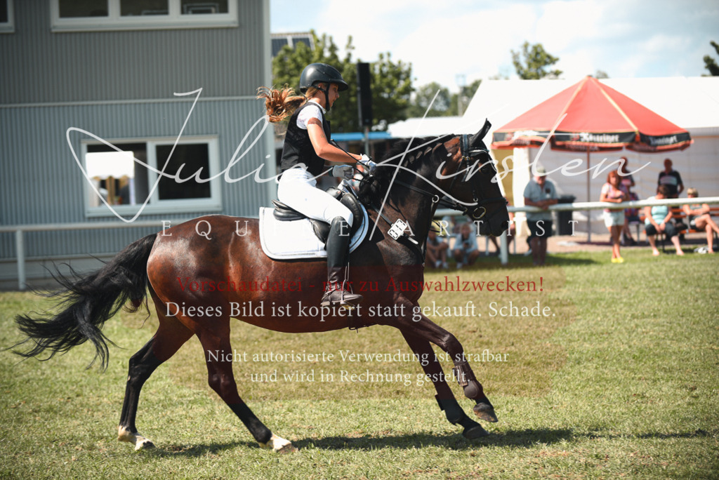 DSC_6613 | Pferde- und Turnierfotografie in Westsachsen. Pferdeportraits, Auftragszeichnungen und intuitive Kunst.