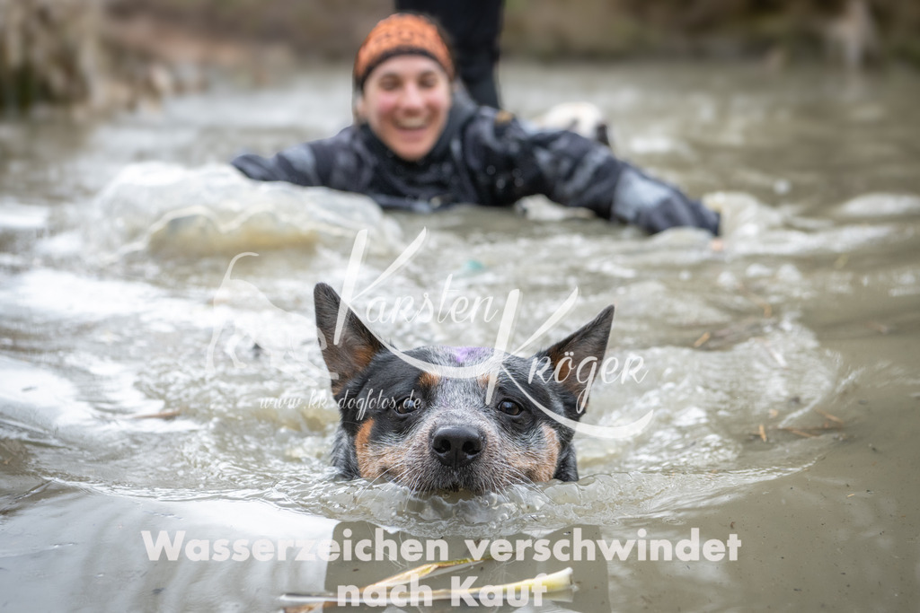 1129_ZZ99500 | kk-dogfotos