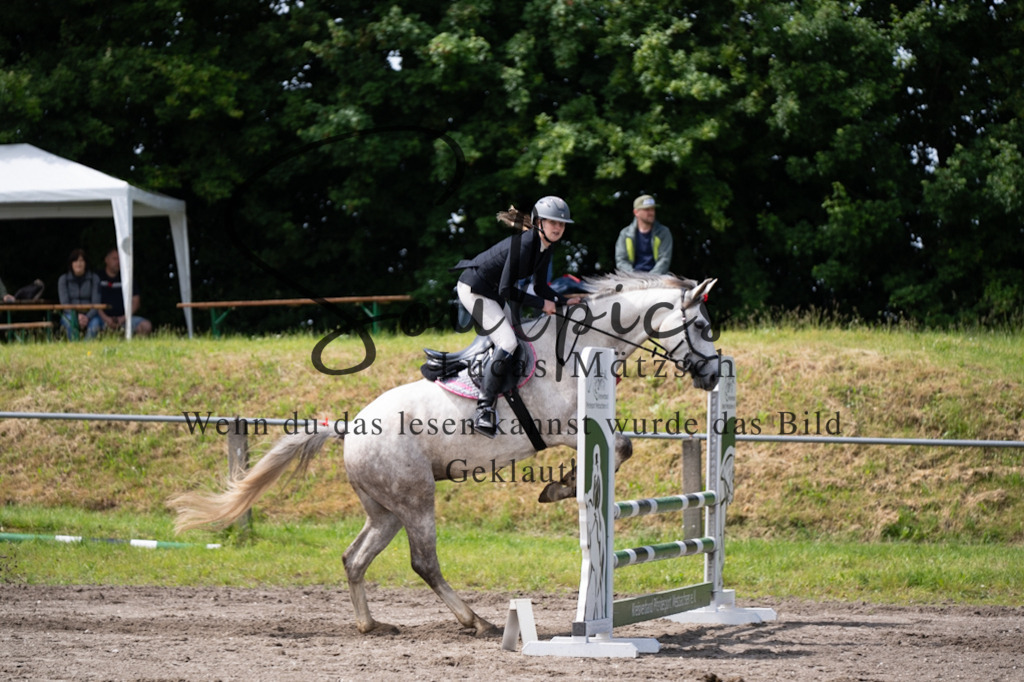 A7V04213 | Pferdefotograf