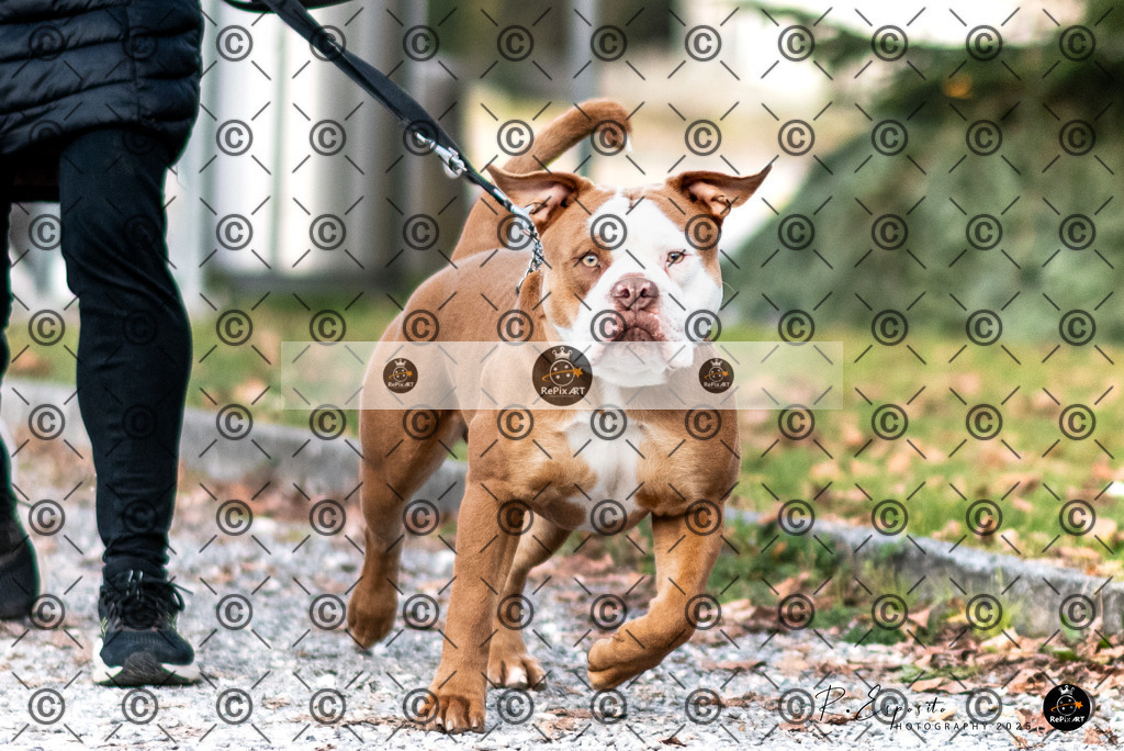20251115_Manu-Charly_Zofi_005-2 | Sport und Naturfotografie von Roberto Esposito zeigt echte Momente Bewegung und die Schönheit der Natur. Ausdrucksstarke Bilder schaffen Emotionen.