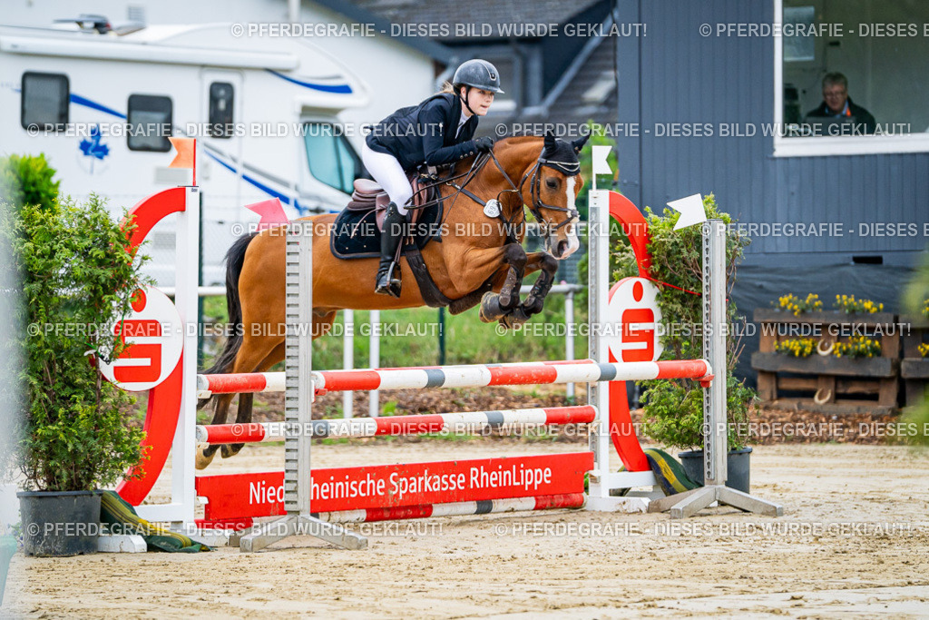 DSC01658 | Pferdegrafie