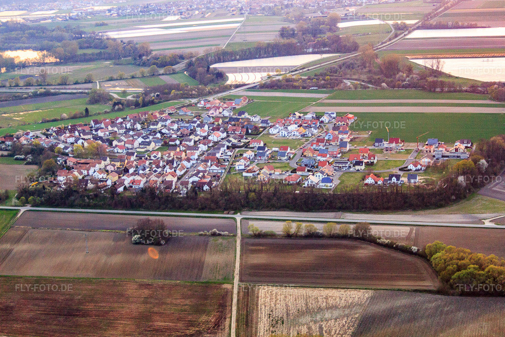 Luftbild: Blumenring im Ortsteil Hardtwald in Neupotz im Bundesland Rheinland-Pfalz in Deutschland. Foto: IMG_63575.jpg vom 28.03.2014 durch Werner Riehm/FLY-FOTO.deAuflösung des Originals: 4752 x 3168 px
