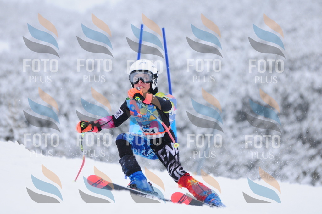 C3062 | holidayphoto