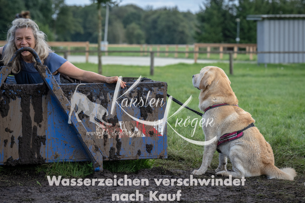1433_ZZ92687 | kk-dogfotos