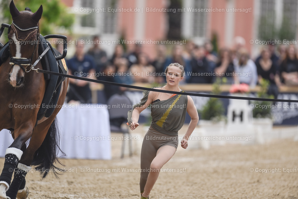 20240519_Voltige_0335 | Foto: Thomas Hartig