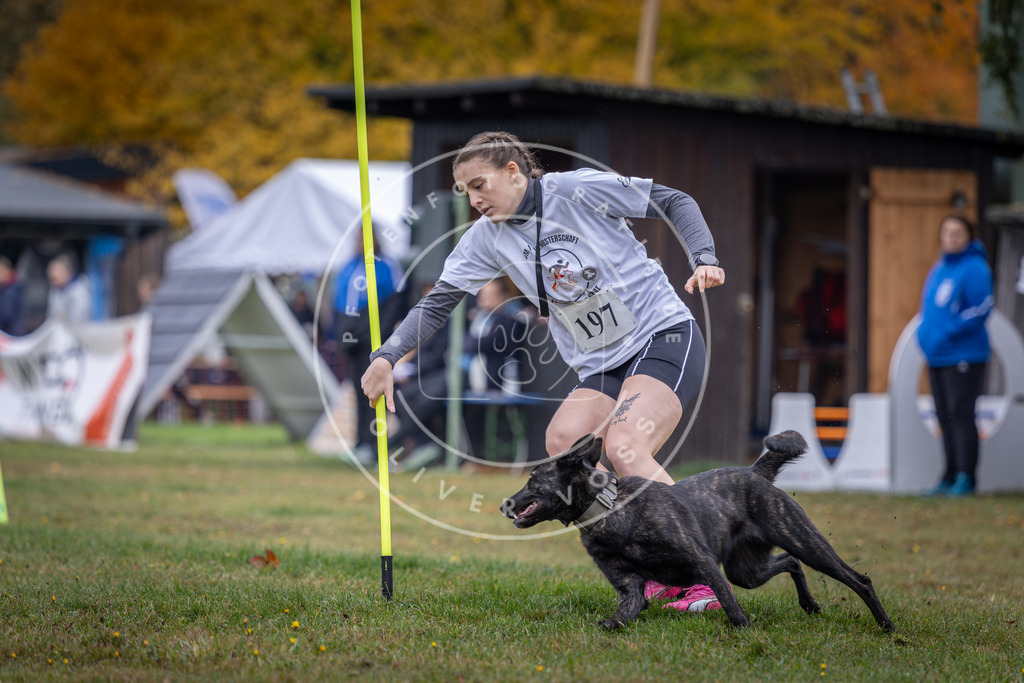 Pfotenfotografie_DV3A0764 | Hundefotografie, Tierfotograf, Pfotenfotografie, Fotoshooting Hund, Hunde Portrait, Hundesport, Hundeportraits, Heideshooting, Hunde, Sportfotograf, Hundefotograf, Turnierhundsport, THS,  - Realisiert mit Pictrs.com