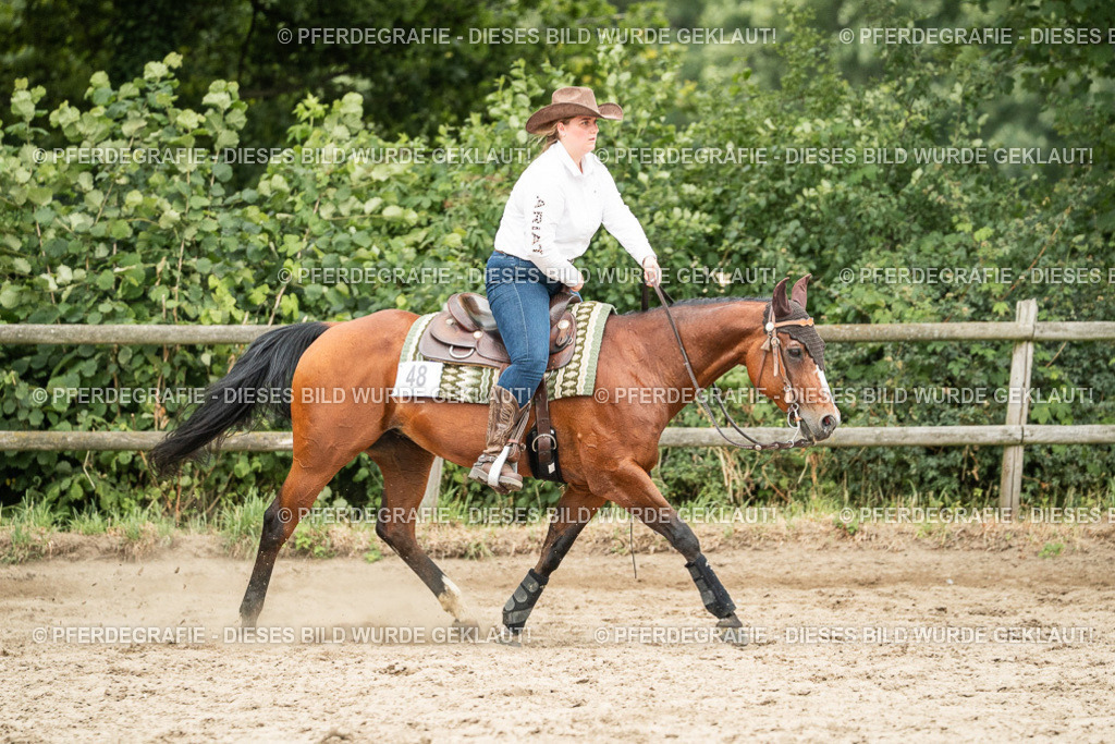 DSC04396 | Pferdegrafie