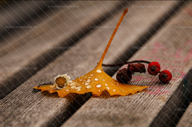 Screenshot_20251119-181653 | Fotograf Leipzig für Hochzeiten, Familienfeste & Porträts. Persönlich, ehrlich & echt – Emotion im Fokus. Jetzt Fotoshooting bei Holzmannphotos buchen!