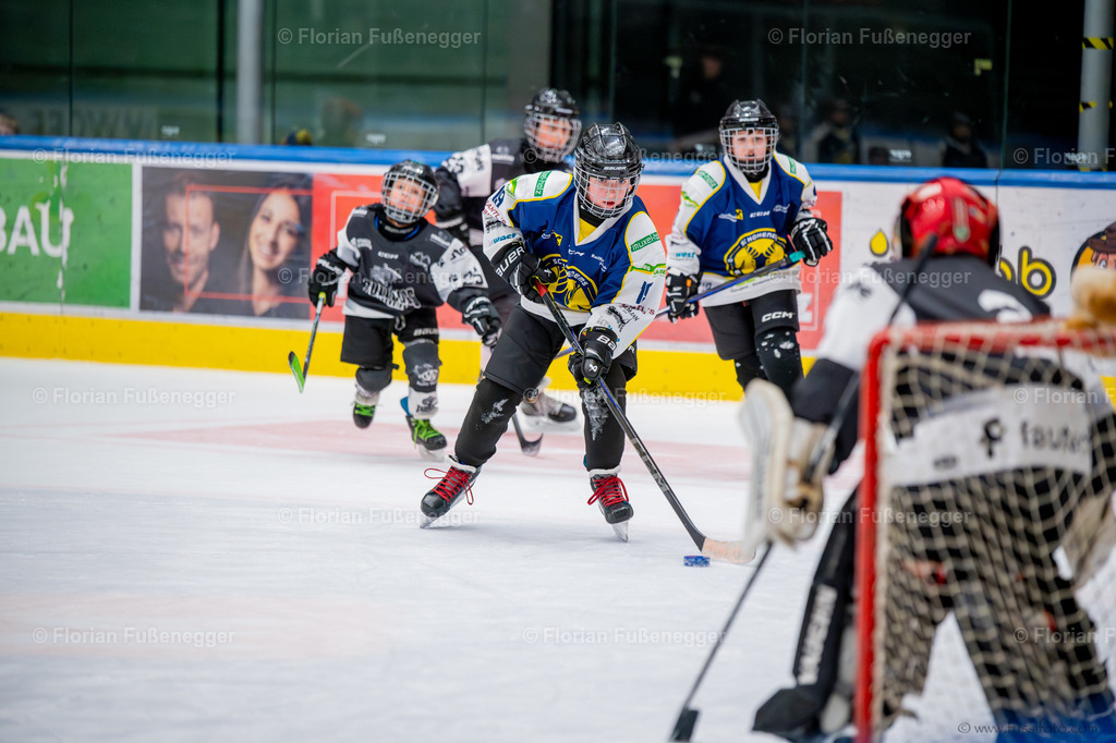 DSC_9483 | "Fussifoto.com – Ihr Ansprechpartner für hochwertige Fotografie! Entdecken Sie kreative Bilder und professionelle Dienstleistungen. Kontaktieren Sie uns für Ihre Projekte!"