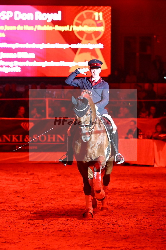 Don Royal_2241790 | hf-fotografie - Realisiert mit Pictrs.com