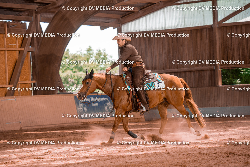 NE100690 | dv-media-shop - Realisiert mit Pictrs.com