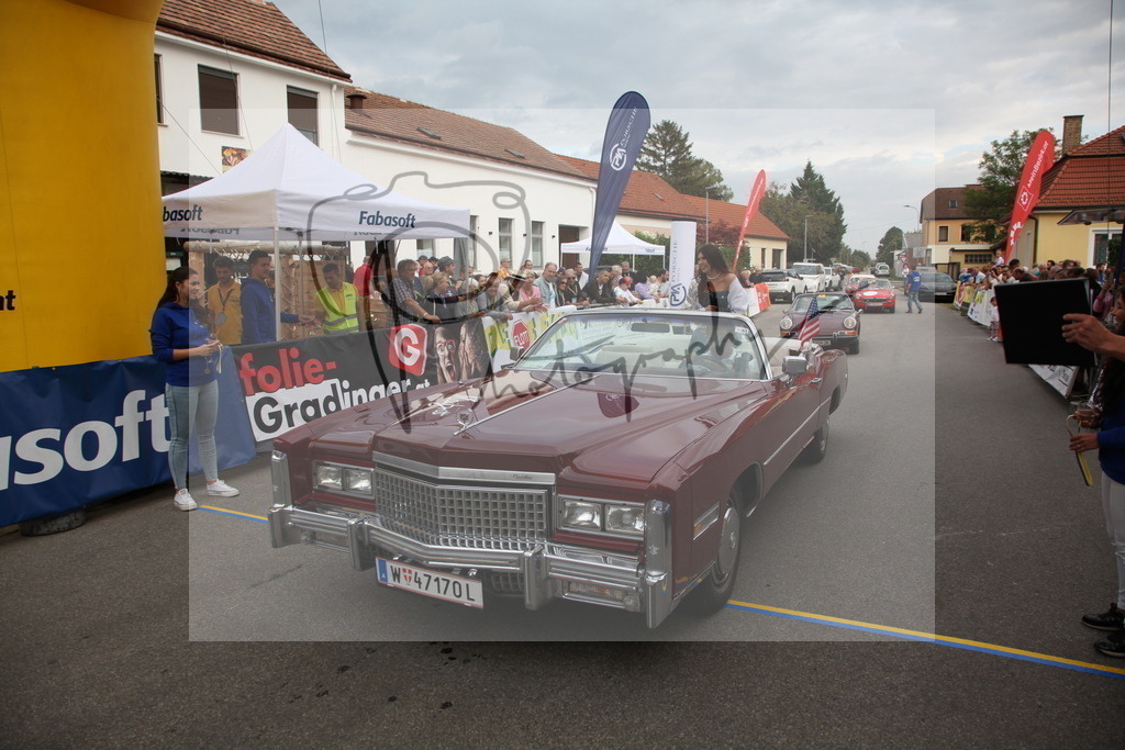 IMG_6313 | Gerhard Witt