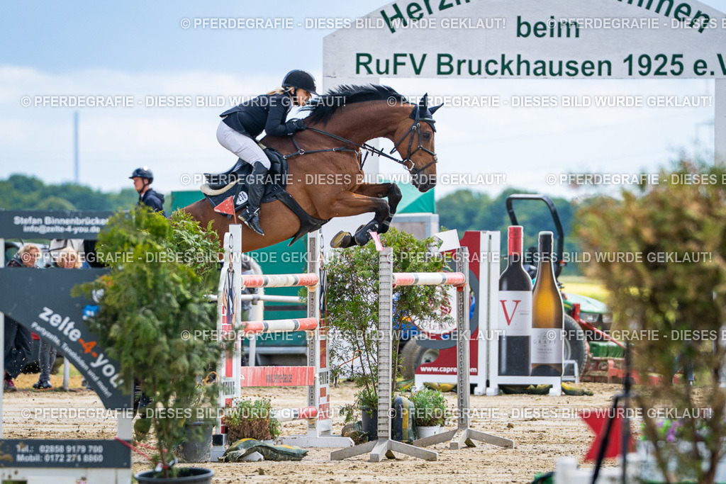 DSC05546 | Pferdegrafie