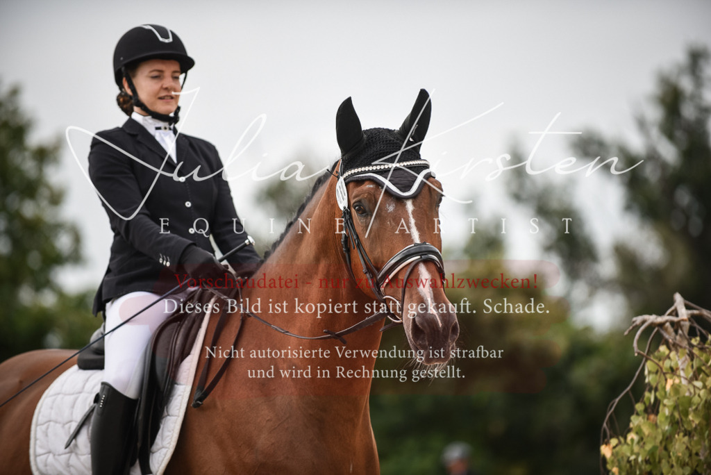 DSC_8042 | Pferde- und Turnierfotografie in Westsachsen. Pferdeportraits, Auftragszeichnungen und intuitive Kunst.