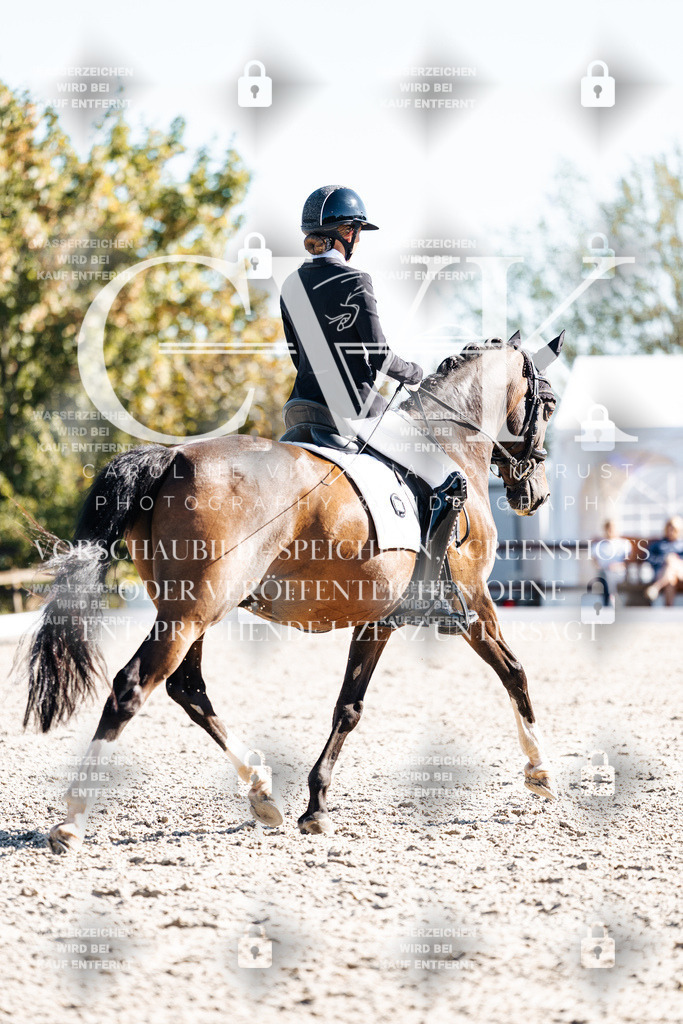 CK908554 | Turnierfotografie Pferdefotografie Trier Rheinland-Pfalz Pferdesport Reitsport Tierfotografie Sportfotografie Pferdevideo Pferdevideografie Equestrianvideography equestrianphotography  - Realisiert mit Pictrs.com