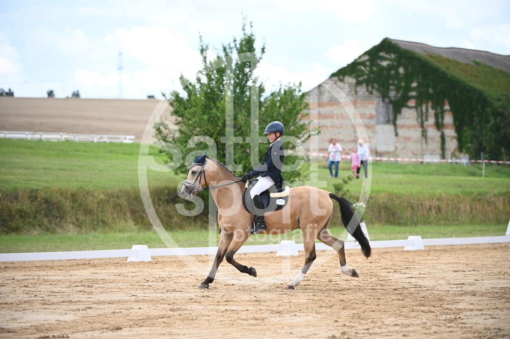 DSC_6286 | sattelsport - Realisiert mit Pictrs.com