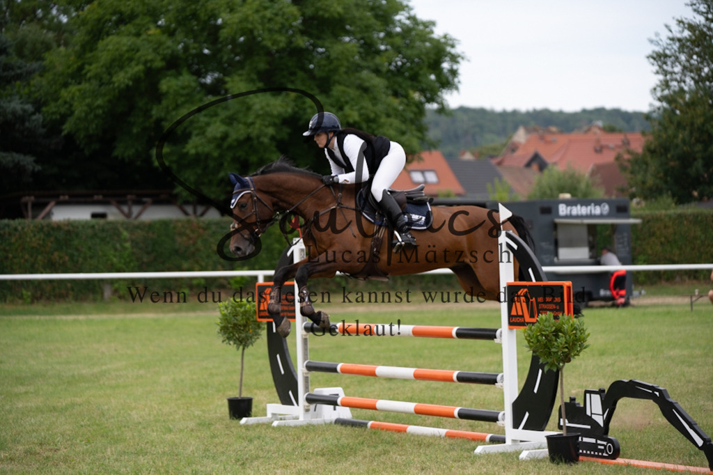 A7V01331 | Pferdefotograf