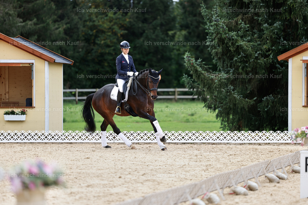 3-Siegerehrung-Dressur M_-StoibPH-2591 | working equitationturnier fotograf videograf stoibphotography marixx film working equitation deutschland reitsport turnierfotografie eventfotografie equestrian events