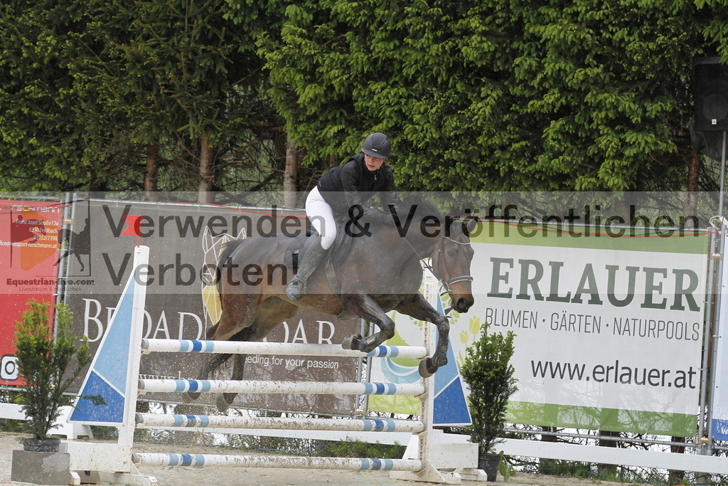 _MG_1132 | equestrian-live-com