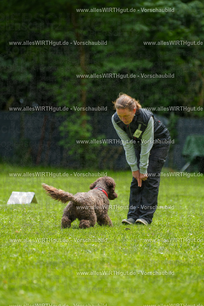 @allesWIRTHgut_Tierfotografie - www.allesWIRTHgut.de - 7R501144 | Professionelle Tierfotografie in Mönchengladbach von Daniel Wirth (allesWIRTHgut). Liebevolle & natürliche Bilder von Hunden & Katzen für unvergessliche Erinnerungen.