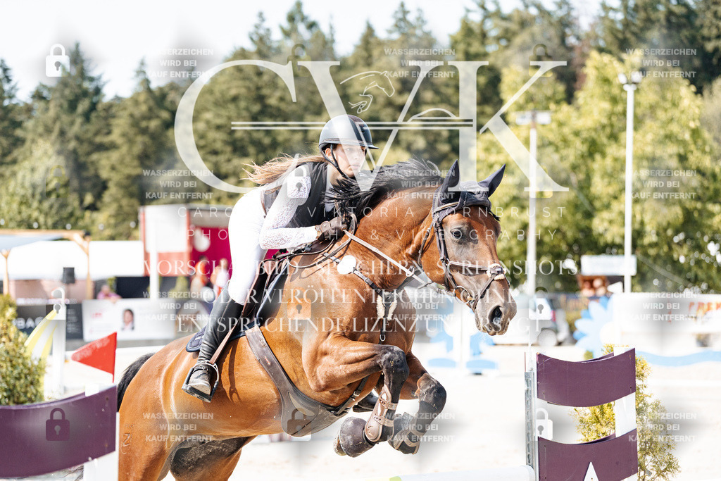 CK901856 | Turnierfotografie Pferdefotografie Trier Rheinland-Pfalz Pferdesport Reitsport Tierfotografie Sportfotografie Pferdevideo Pferdevideografie Equestrianvideography equestrianphotography  - Realisiert mit Pictrs.com