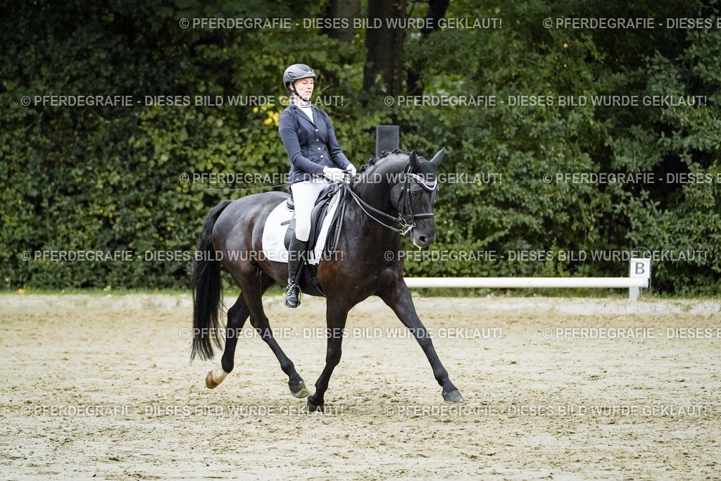 DSC00086 | Pferdegrafie