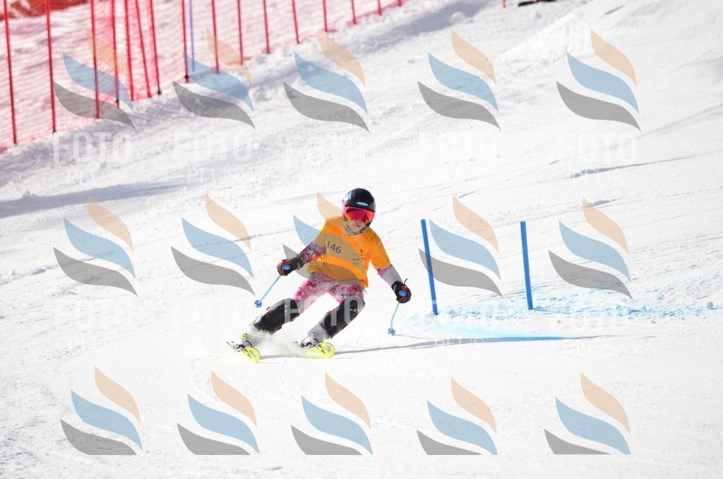 C7718 | holidayphoto