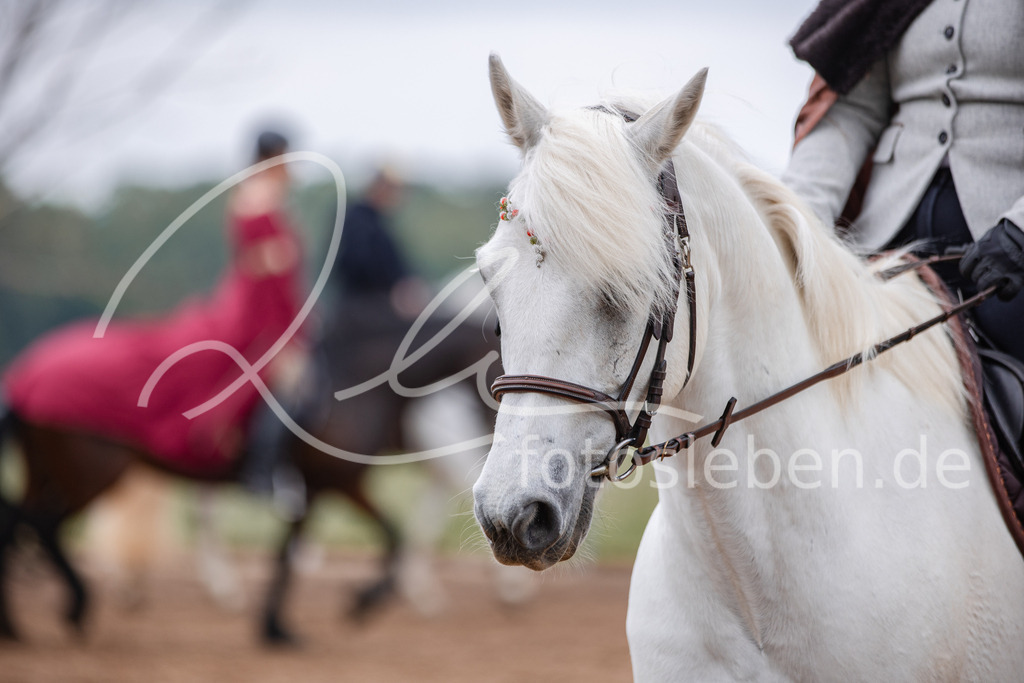 846A0363 | fotosleben - Realisiert mit Pictrs.com