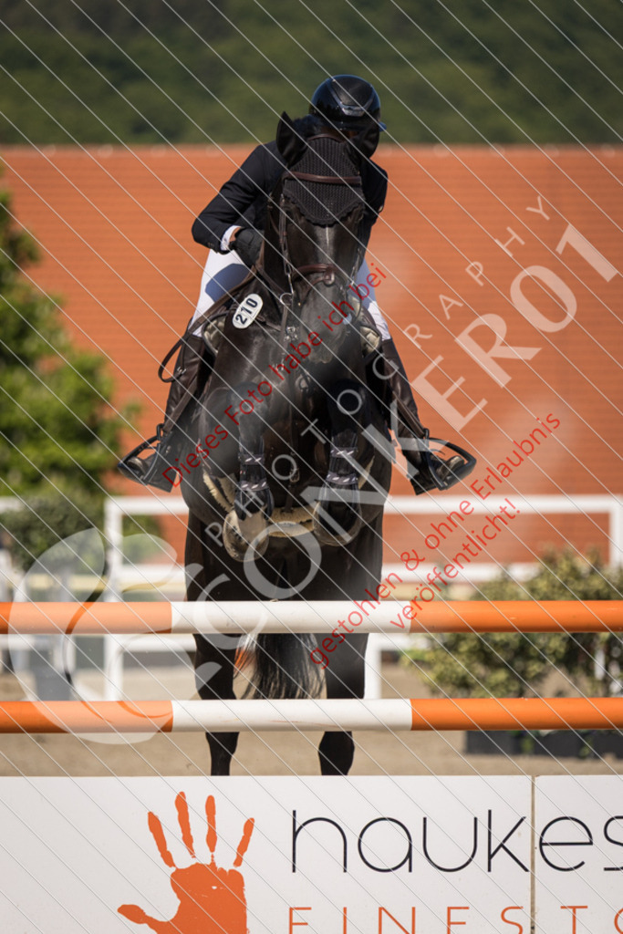 IMG_4024 | Sport-, Event- und Tierfotos in Profiqualität. Einfach auswählen, bestellen und herunterladen. Dein Moment – perfekt festgehalten.