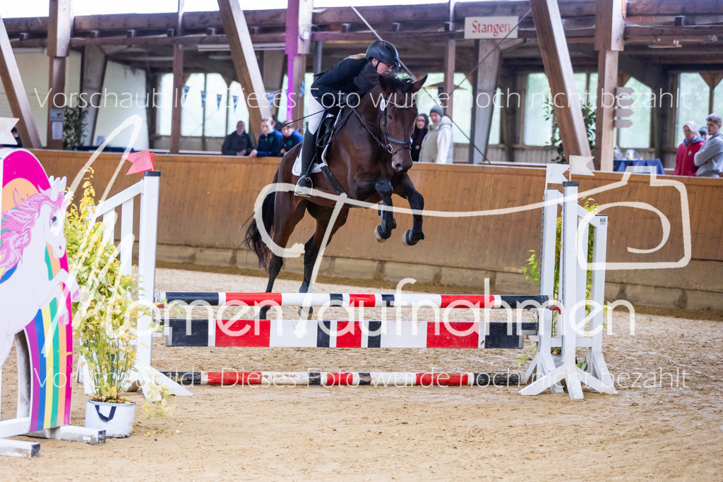 Sth-E-Springen-046 | MomenTaufnahmen Pferdesportfotos